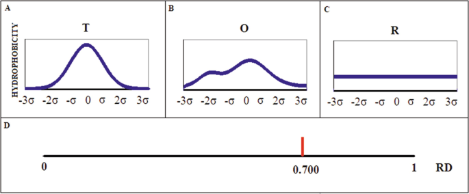 3 line graphs and an illustration. A to C, the line graphs of the hydrophobicity of a protein present a bell curve, a fluctuating line, and a horizontal line. D, presents an R D scale from 0 to 1, where a point 0.700 is marked.