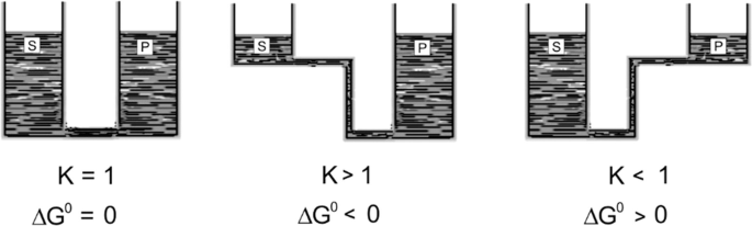 An illustration has two containers labeled S and P. In the first image, S and P are equal in size, second, S is smaller than P, and third P is smaller than S. Their K values are K equals 1, greater than 1, and less than 1, respectively.