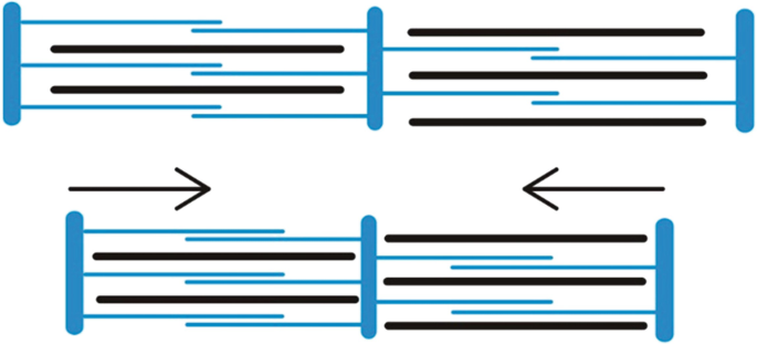 An illustration of the principle of contraction in motor proteins.