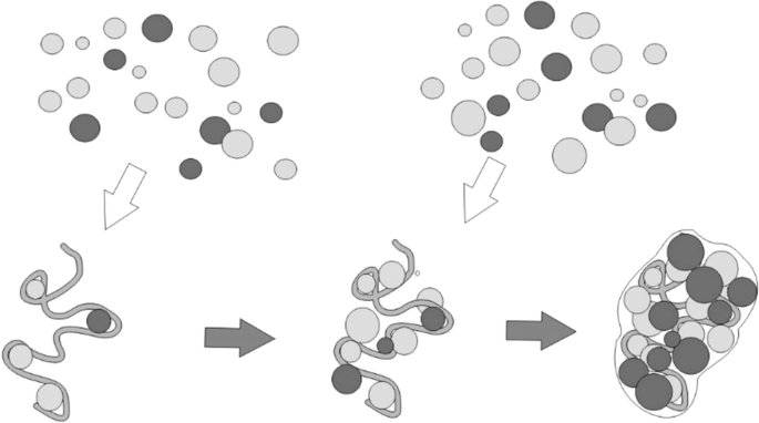 An illustration presents the process of self-organization of protein binding in a ribosome subunit. A collection of scattered dots moves into a string-like coiled structure, until all the dots are embedded within it in the final step.