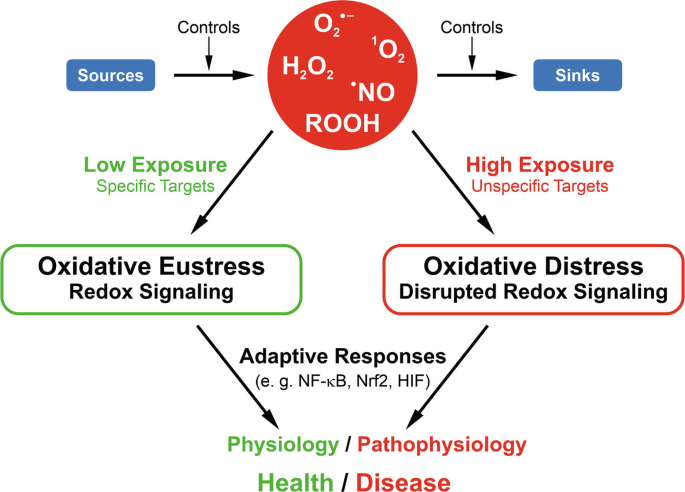 Peroxide Release Date: A Closer Look At The Hype, Features, And  Expectations! in 2023