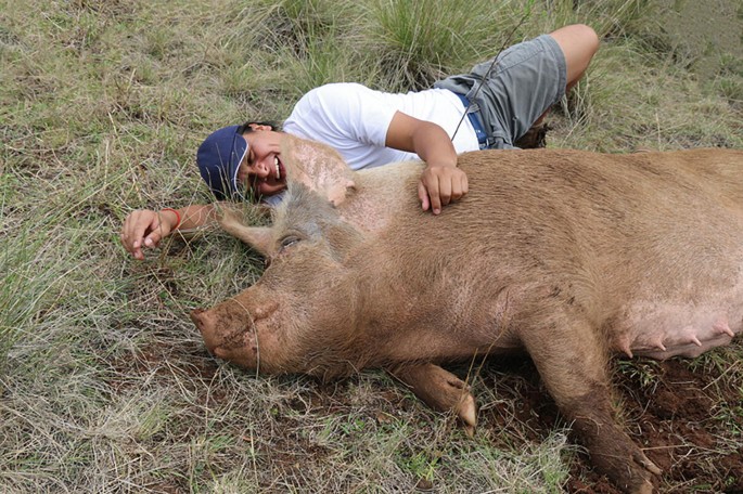 John Pork is calling: Anthropomorphic pig emerges as big new TikTok trend
