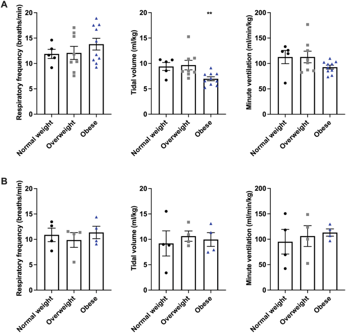 6 bar graphs with error lines of respiratory frequency, tidal volume, and minute ventilation versus normal weight, overweight, and obese. The set of three graphs in A compares women to men in part B.