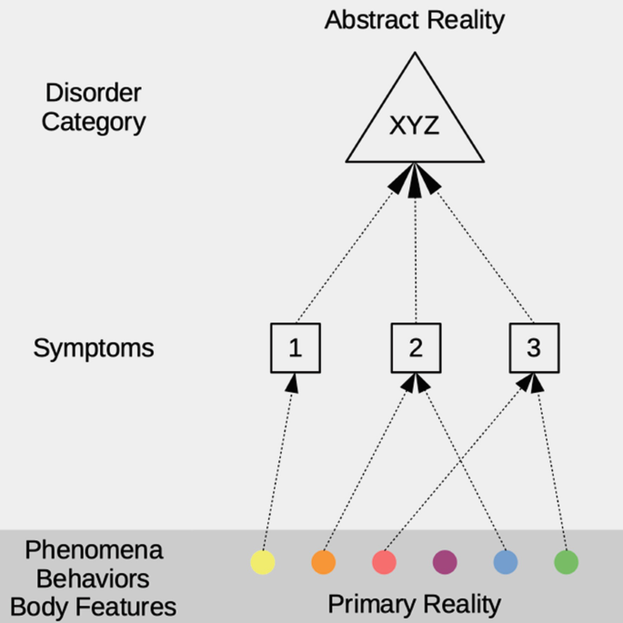 A tree diagram from abstract reality to primary reality. It presents disorder category X Y Z, 3 symptoms, and 6 phenomena behaviors, and body features.