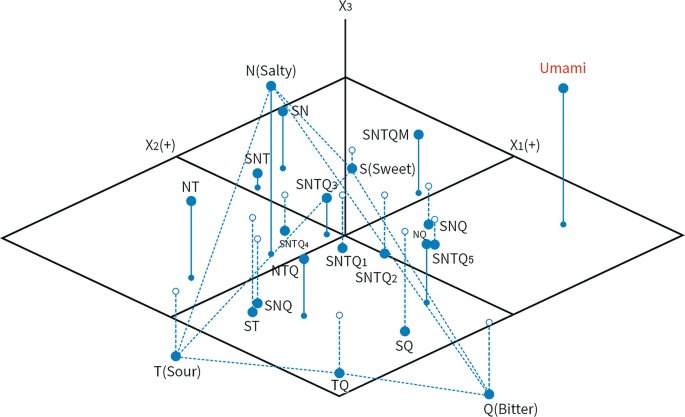 A 3 D square divided into four equal halves has multidimensional scaling at various places. It represents taste similarities among 21 taste stimuli. The stimuli are represented by the letters S, N, T, Q, and M for sucrose, sodium chloride, tartaric acid, quinine, and monosodium L glutamate, respectively.