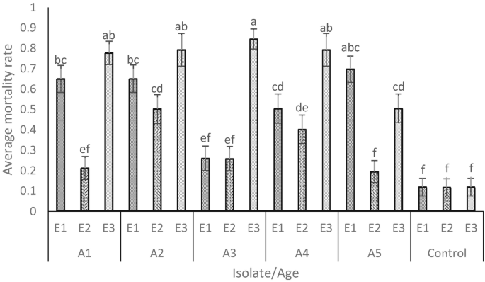 A vertical bar graph with error charts. It plots the average mortality rate versus isolate or age. The bars are labeled b c, e f, a b, c d, a, d e, a b c, and f. The 18 bars are titled in 6 pairs E 1, E 2, and E 3. They are again clustered into 6 triplets titled A 1, A 2, A 3, A 4, A 5, and control.