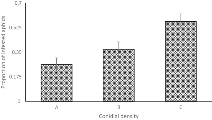 A vertical bar graph with error charts. It plots the proportion of infested aphids versus conidial density. The bars illustrate an increasing trend. The bars are titled A, B, and C.