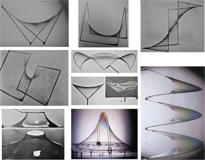 Frei Otto: Light Structures Inspired by Nature. Experiments with Physical  Self-Forming Processes: Soap Solutions, Viscous Fluids, Branching  Structures and Funicular Forms