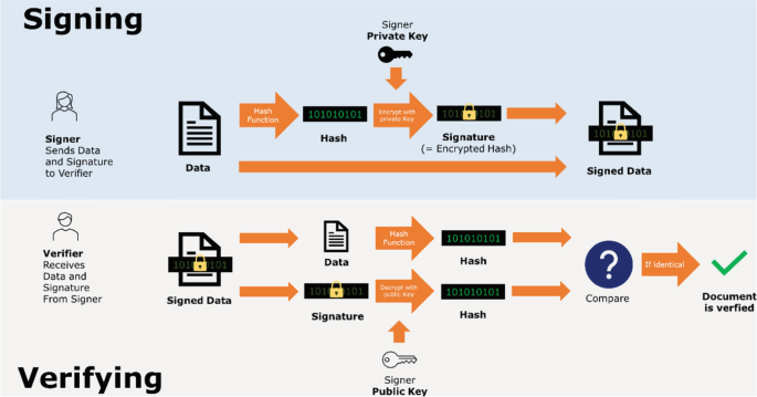 An illustration of 2 processes. Signing, signers send data, through hash, to encrypt data with a private key, signature, and signed data. Verifying, the verifier receives signed data, split into data and signature, to hash, compare, and if identical, document verified.