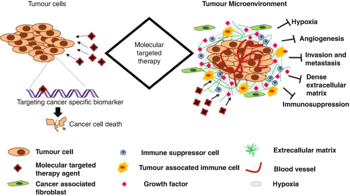 An illustration of molecular targeted therapy of tumor cells and tumor microenvironment. The tumor cells have biomarkers on cancer specific targets. The surrounding environment of the tumor includes hypoxia, angiogenesis, invasion, metastasis, dense extracellular matrix, and immunosuppression.