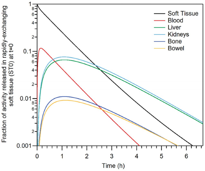 A multi-line graph of the fraction of activity released in rapidly exchanging soft tissue at t equals 0 versus time in hours. It plots 5 lines for blood, liver, kidneys, bones, and bowel that initially rise and then fall. The line for soft tissue follows a decreasing trend.