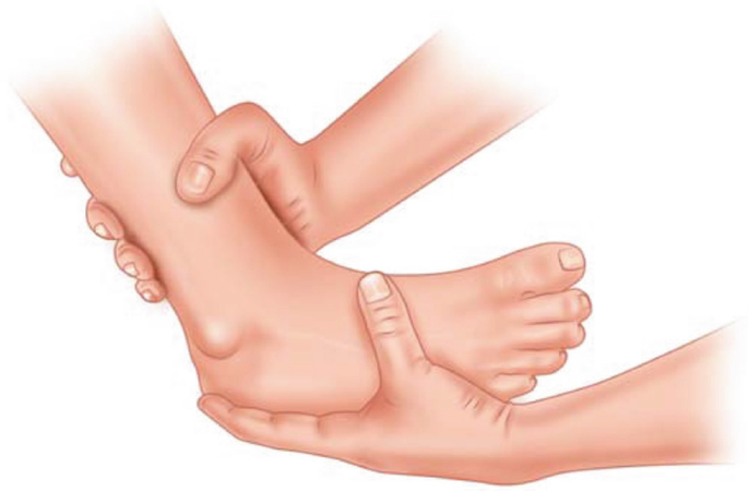 An illustration of a pair of hands holding a leg. The right hand holds the shin, and the left hand holds the foot. The foot is tilted at an inward angle.