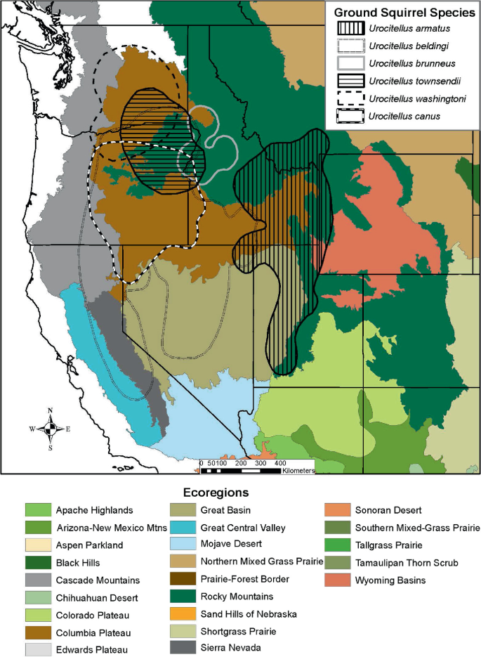 A map of Western North America exhibits the distribution of rangelands inhabited by six ground squirrel species, along with ecoregions such as Apache Highlands, Aspen Parkland, Black Hills, Chihuahuan Desert, Colorado, Columbia, Edwards Plateau, Great Basin, Mojave Desert, and Rocky Mountains.