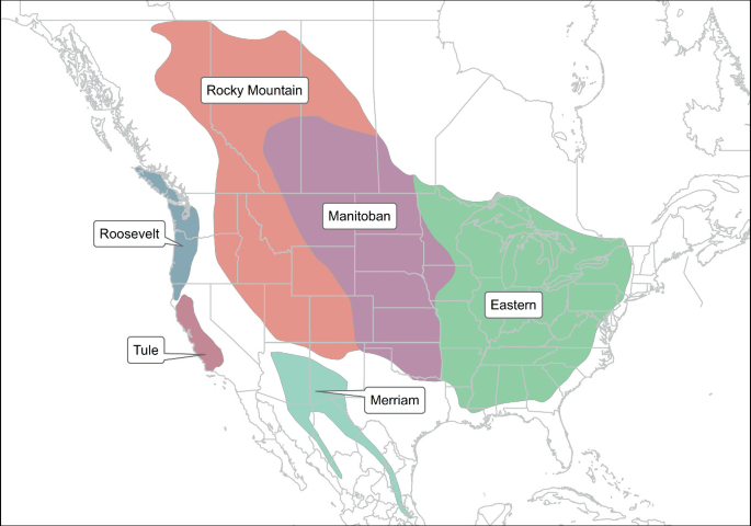 Tule elk selection of surface water and forage is mediated by season and  drought – California Fish and Wildlife Scientific Journal