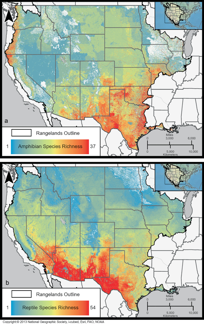 2 Maps of the United States marks the amphibian species richness from 1 to 37 in A and reptile species richness from 1 to 54 in B.