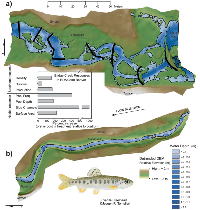 The location and vegetation physiognomy of ecological infrastructures  determine bat activity in Mediterranean floodplain landscapes -  ScienceDirect