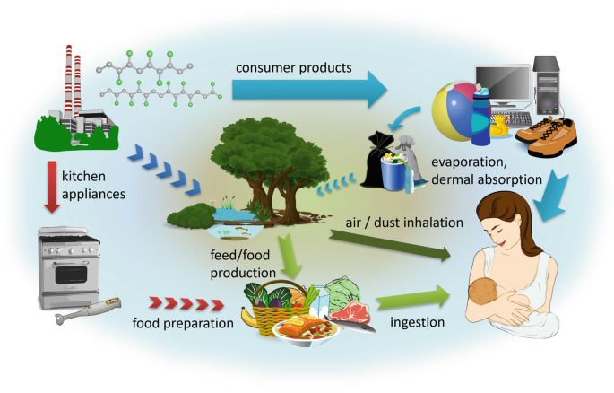 Chlorinated paraffins in infant foods from the Chinese market and estimated  dietary intake by infants - ScienceDirect