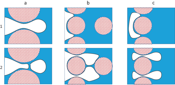 Six illustrations in 3 columns, namely, a, b, and c, and two rows, namely, 1 and 2, have some circular and semicircular structures with some curved structures in between them.