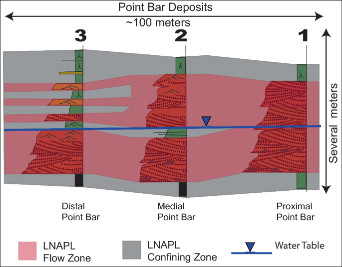 An illustration of the L N A P L flow through the point bar deposits. 3 point bars numbered 1 to 3 are labeled, proximal, medial, and distal in order, within 100 meters, approximately. The L N A P L flow zone occurs proximal to the water table above and below and the confining zone beyond that.