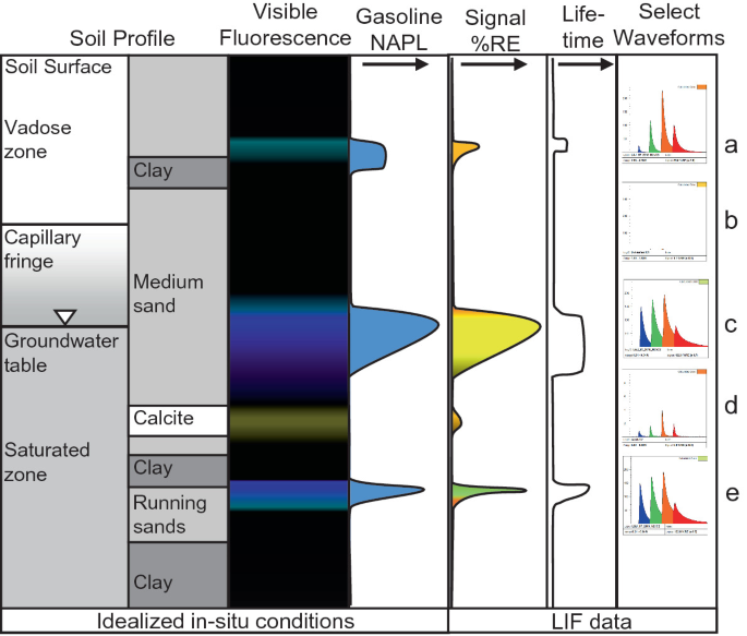 A table has the representations of the idealized in-situ conditions of the soil profile, visible fluorescence, and gasoline N A P L and L I F data for signal % R E, lifetime and select waveforms.