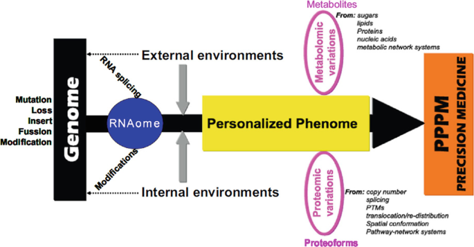 An illustration of the role of mulltiomics in assisting in pituitary adenoma clinical practice. P P P M moves from the genome through R N A ome to the personalized phenome and P P P M precision medicine.