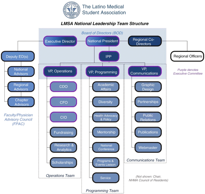 A hierarchy chart of L M S A national leadership team. Level 1. Executive Director. National President. Regional Co-Directors. Level 2. Deputy E Ds. I P P. Regional officers. Level 3. National, regional, and chapter advisors under Deputy E Ds. V P operations, programming, and communications under I P P.