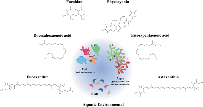 A diagram with 6 chemical structures. The diagram presents an aquatic environment with fish, algae, and krill. The chemical structures are of the compounds, fucoidan, phycocyanin, docosahexaenoic acid, eicosapentaenoic acid, fucoxanthin, and astaxanthin.