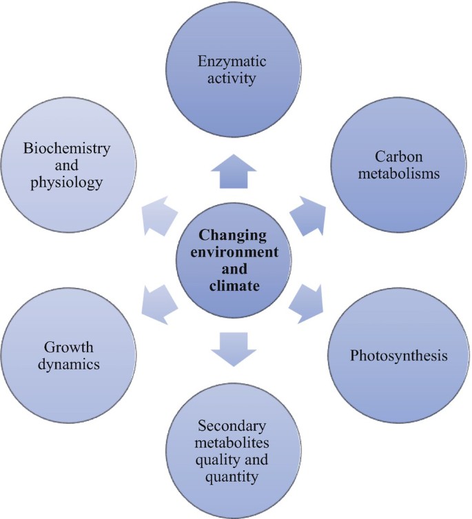 A labeled radial diagram. The central part is labeled changing environment and climate. The peripheral regions illustrate labeled spheres connected with arrows. The labels read biochemistry, enzymatic activity, carbon metabolism, photosynthesis, secondary metabolites, and growth dynamics.