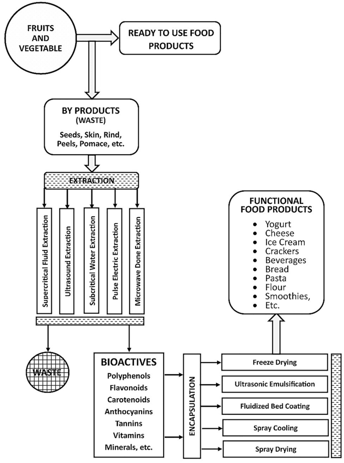 Functional Foods Safety and Toxicity SpringerLink