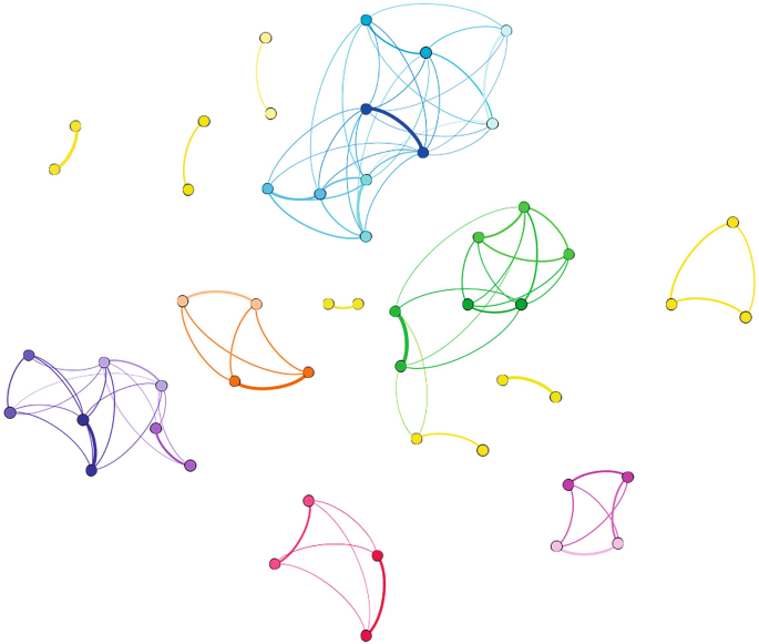 A social network depicts the pacts that range from dyadic and triadic alliances. The different colors indicate the variations.