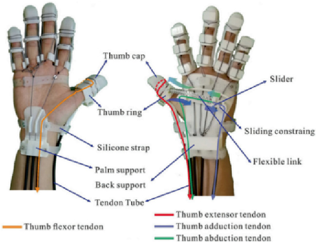 Anthropometric characterisation of palm and finger shapes to