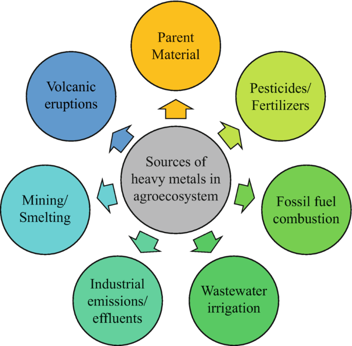 A radial diagram. The sources of heavy metals in agroecosystem are parent materials, pesticides or fertilizers, fossil fuel combustion, wastewater irrigation, industrial emissions or effluents, mining or smelting, and volcanic eruptions.