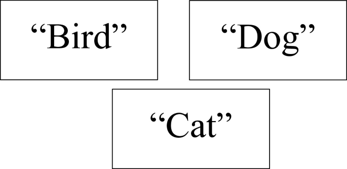 A diagram has three blocks labeled as bird, dog, and cat, each within double quotation marks.