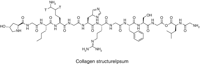 A chemical structure of collagen.