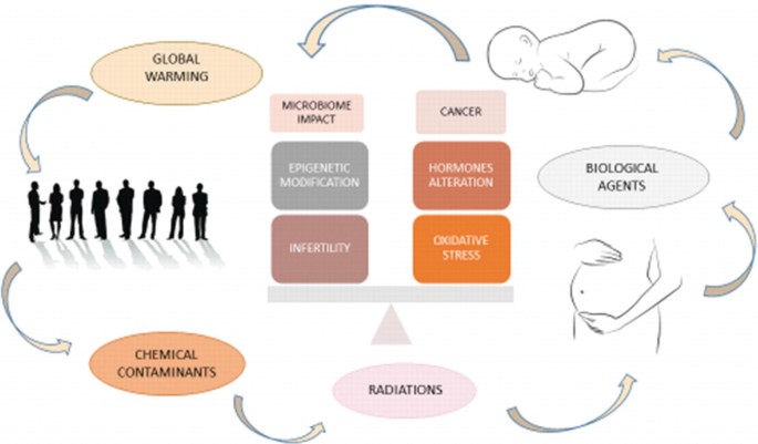 A schematic represents radiations, biological agents, global warming, and chemical contaminants which may lead to microbiome impact, cancer, epigenetic modification, infertility, hormones alteration, and oxidative stress.