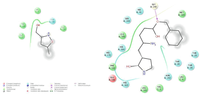 3drose LLC lsp _ 21627?_ 2ブルーとイエローHydrangea、ダブル切り替えスイッチ 3C-Like Protease (3CLpro) | SpringerLink