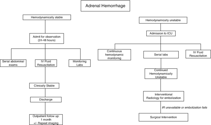 2 flow charts of adrenal hemorrhage. If hemodynamically stable, admit for observation, followed by abdominal exams, I V fluid resuscitation, and monitoring labs. If hemodynamically unstable, admit to I C U, continuous monitoring, serial labs, I V fluid resuscitation, and surgical intervention.