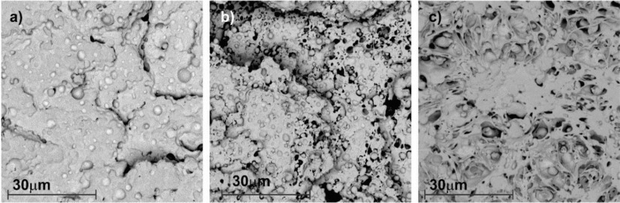 3 S E micrographs of P P matrix. The surfaces of all three photos are rough, uneven, and have different shades of dark patches.