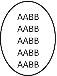 A schematic of chromosomes with functional gametes of F 1 formed by the plant, which denotes the allotetraploid individual of A A B B, with 10 bivalents of A and B.