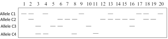 A phenogram. The columns read from 1 through 20 and the rows read Allele C 1, C 2, C 3, and C 4. It observes the maximum number of blank spaces for Allele C 4 followed by C 3.