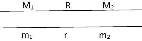 A representation of segments of chromosome. The genes present in the upper strand are M 1, R, and M 2. The genes present in the below strand are m 1, r, and m 2.