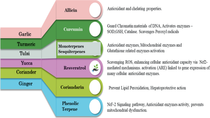 Lead: Exposure Risk, Bio Assimilation and Amelioration Strategies in  Livestock Animals