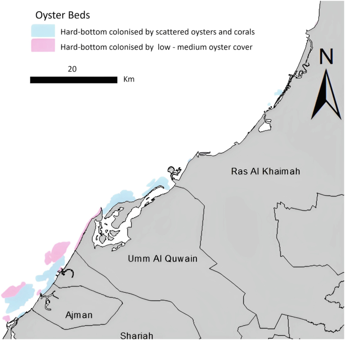 A map of Sharjah, Ajman, Umm Al Quwain, and Ras Al Khaimah highlights the hard bottom colonized by scattered oysters and corals and the hard bottom colonized by low-medium oyster cover.