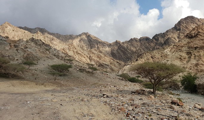 A photo of a landscape in the Hajar Mountains.