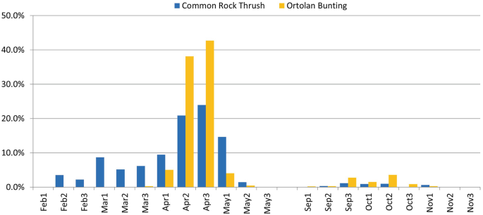 A double bar graph plots the relative abundance of Ortolan Bunting and Common Rock Thrush in percentage. The relative abundance is the highest for Ortolan Bunting at 42% and for Common Rock Thrush at 23% on April 3. Values are approximated.