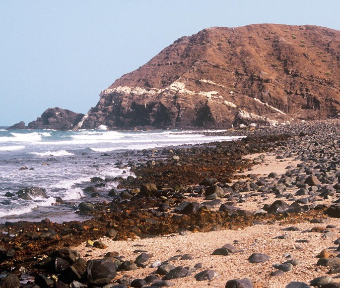 A photograph of a rocky beach with a large rocky outcropping in the background.