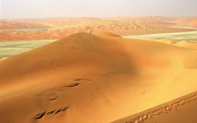 The photograph of a large sand dune with a person standing on top of it. The sand dune is very tall and has a steep slope leading up to it. A white salt flat running like a river through the dune.
