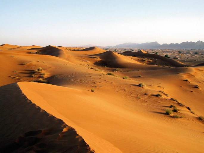 A photograph of a sand dune in the desert with shrubs scattered around and with rocky mountains in the background.