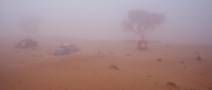 A photograph of a sandy desert with a few trees in the distance. There is a light mist in the air. The trees are bare and the sand is dotted with small rocks.