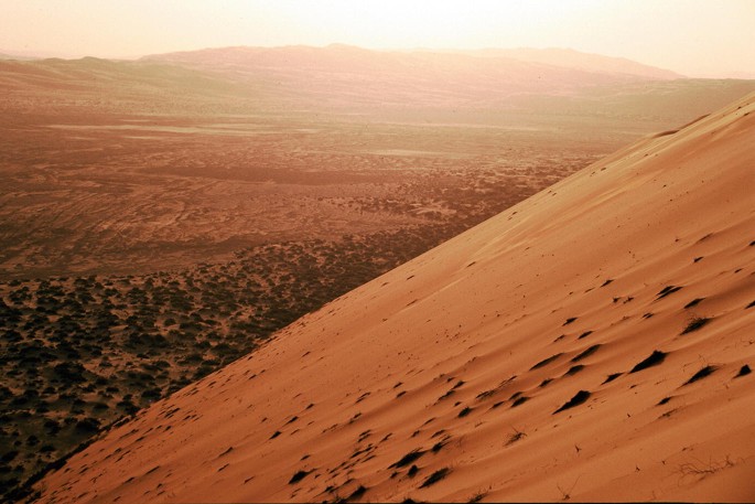 A photograph of a sand dune in the desert which is tall and steep. The sun is setting at a distance, casting a warm glow over the landscape. The horizon is visible in the distance, with a line of hills in the foreground.